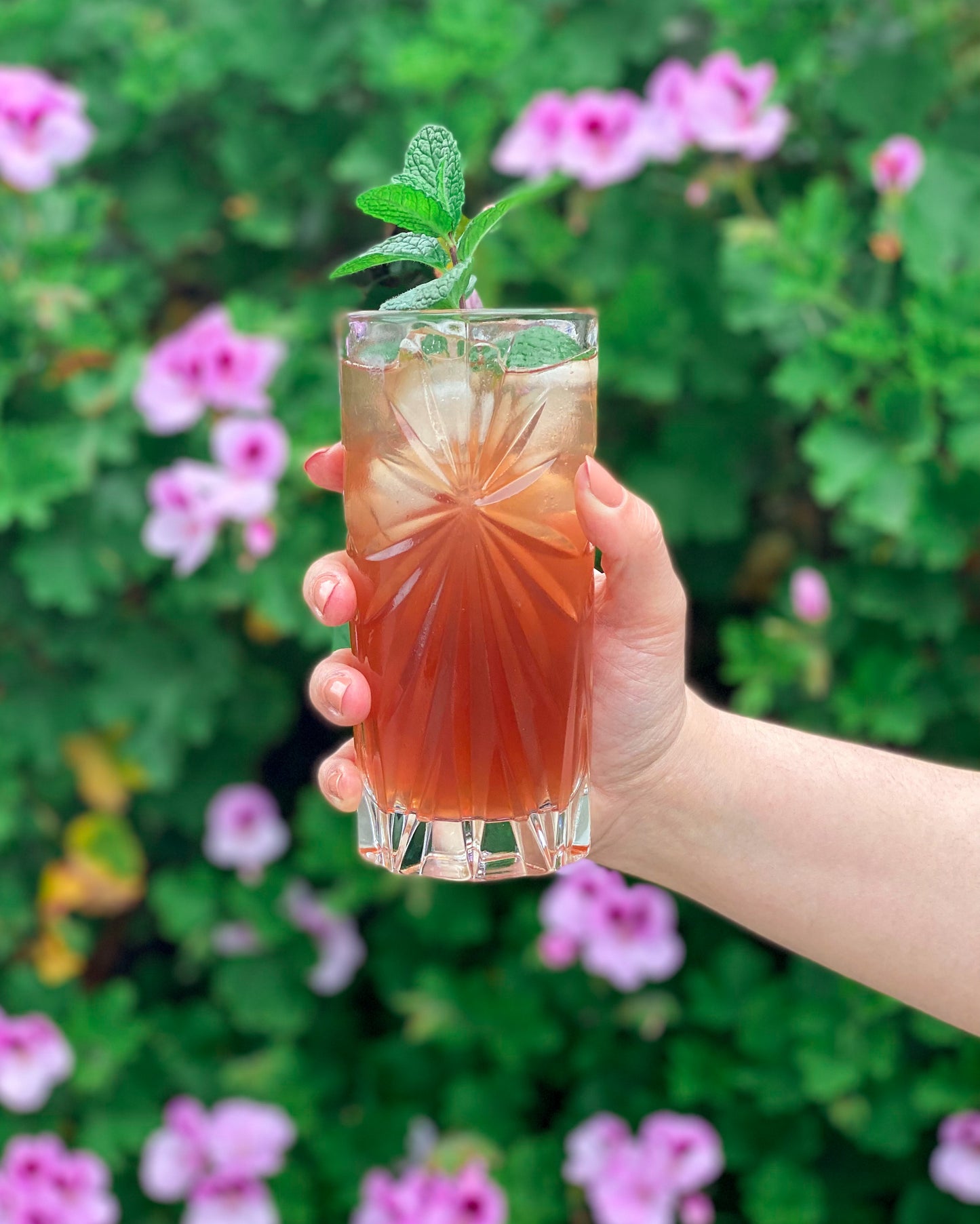 Cherry Shrub
