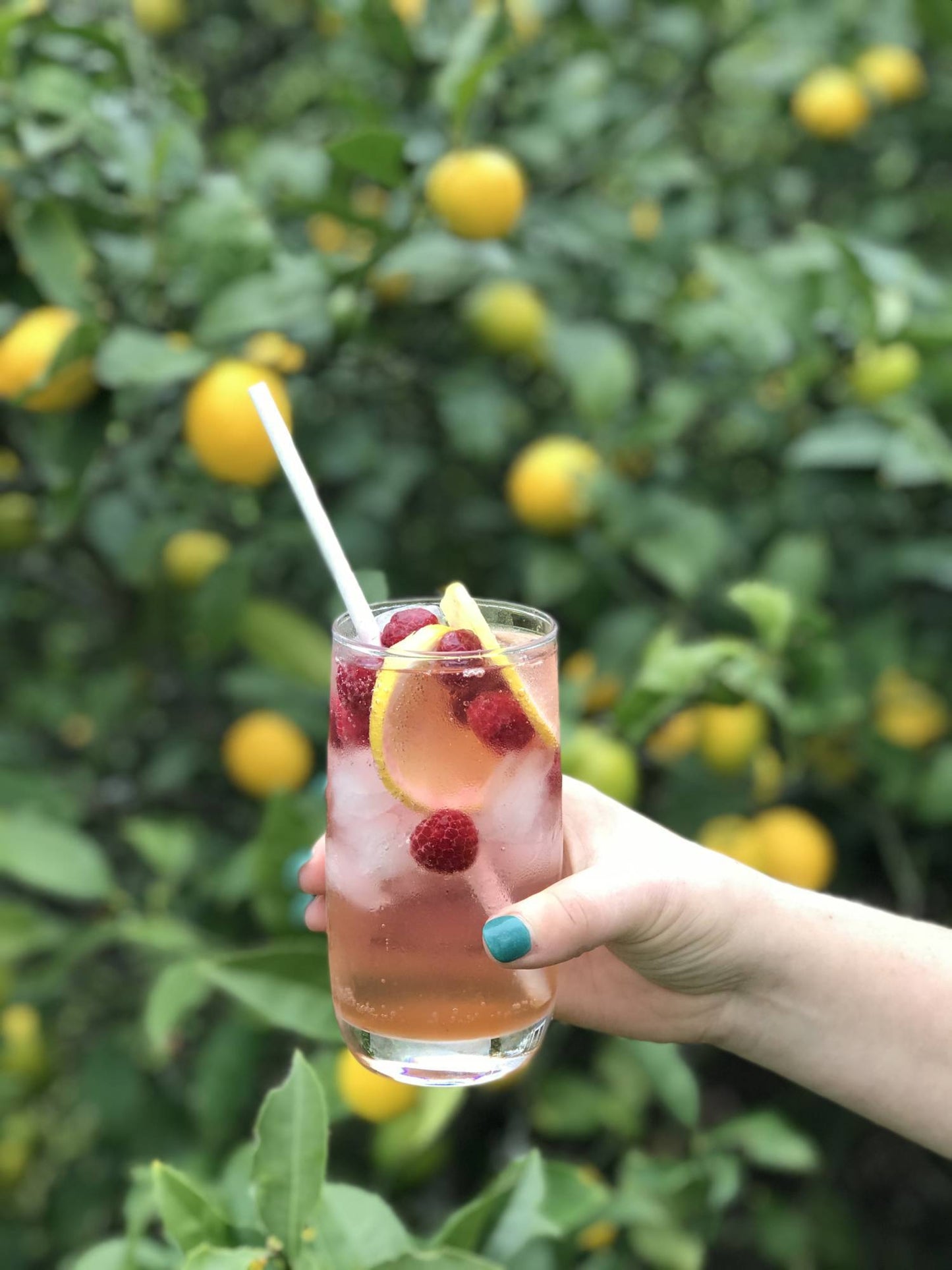 Pink Lemonade